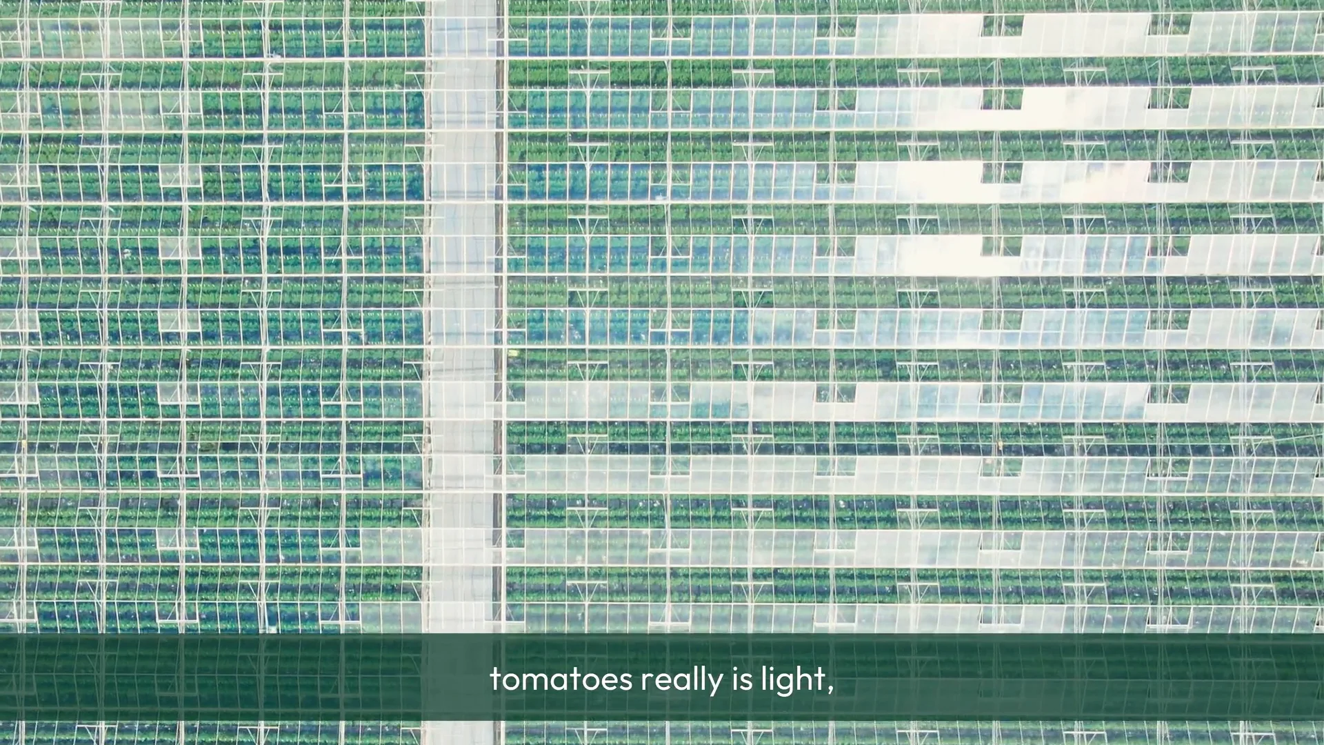 The roof structure of an Isle of Wight tomato glasshouse