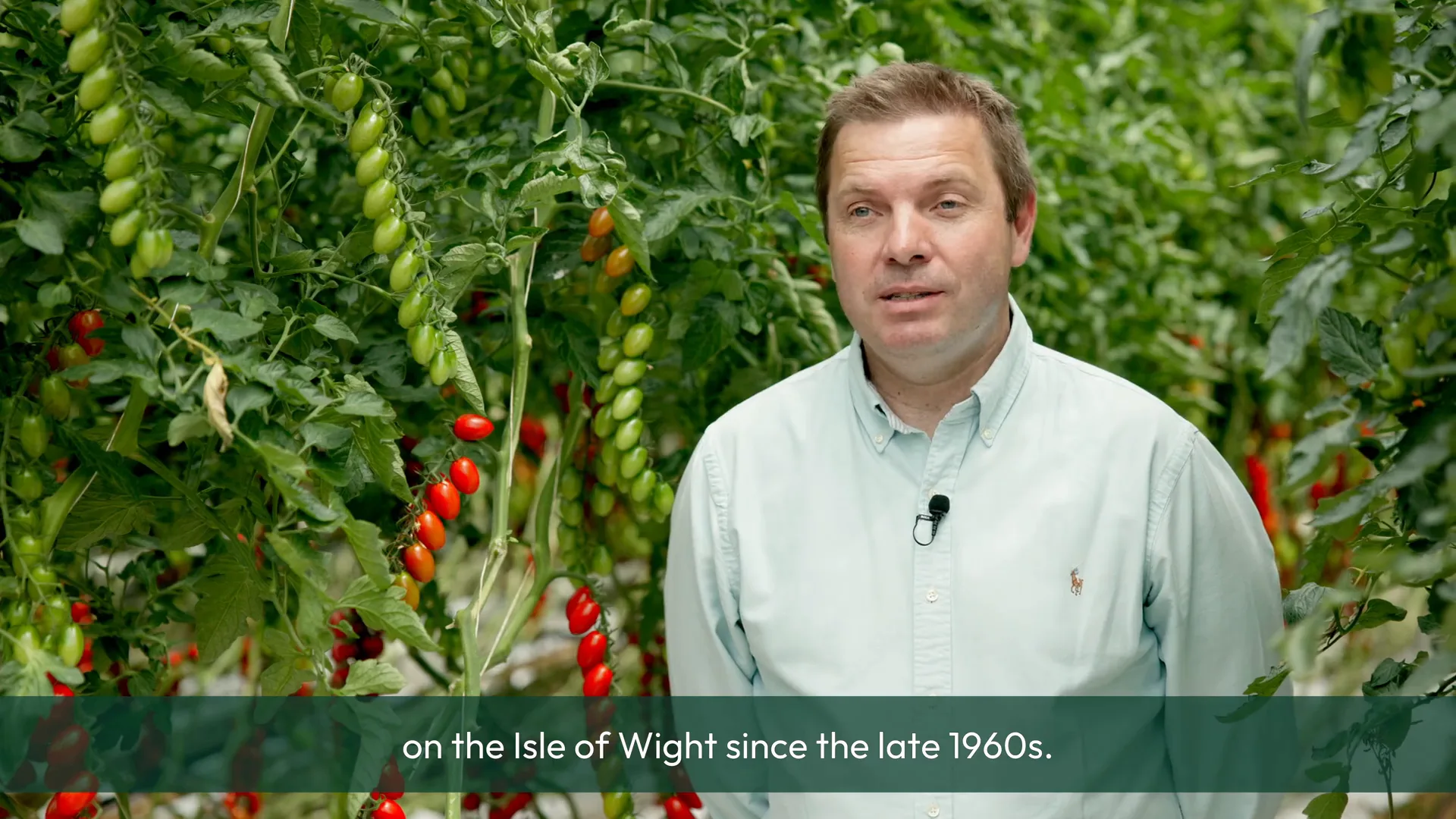 An Isle of Wight Tomatoes contributor speaking inside a glasshouse